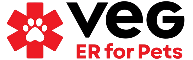 Veterinary Emergency Group marketing agency