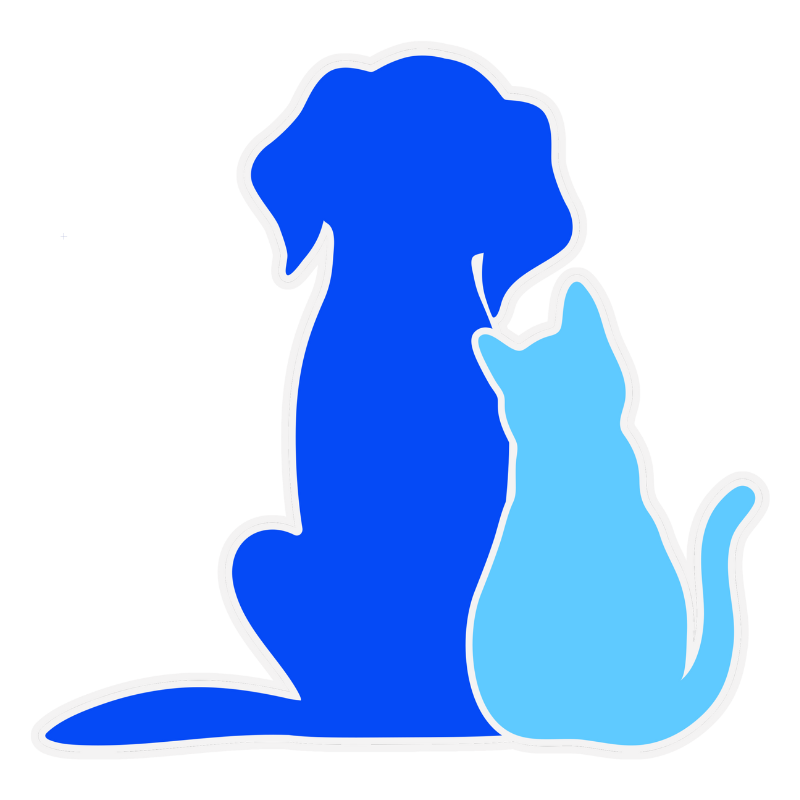 Marketing for pet care and veterinary brands